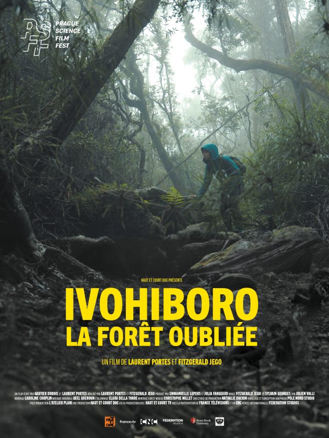 Ivohiboro, la forêt oubliée